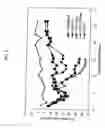 Fig. 06 - Radiation protection by gamma-tocotrienol