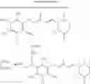 Fig. 12 - Transcriptional factor, process for producing the same and use thereof