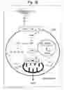 Fig. 03 - Body temperature elevating agents