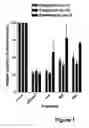 Fig. 02 - Methods for treating lower urinary tract disorders using alpha2delta subunit calcium channel modulators with smooth muscle modulators