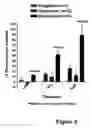 Fig. 07 - Methods for treating lower urinary tract disorders using alpha2delta subunit calcium channel modulators with smooth muscle modulators