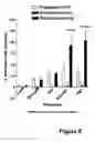 Fig. 09 - Methods for treating lower urinary tract disorders using alpha2delta subunit calcium channel modulators with smooth muscle modulators