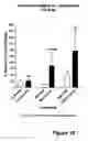 Fig. 19 - Methods for treating lower urinary tract disorders using alpha2delta subunit calcium channel modulators with smooth muscle modulators