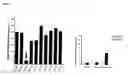 Fig. 03 - Small molecule inhibitors of STAT3 and the uses thereof
