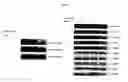 Fig. 04 - Small molecule inhibitors of STAT3 and the uses thereof
