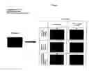 Fig. 06 - Small molecule inhibitors of STAT3 and the uses thereof