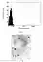 Fig. 03 - Process for preparing nanofluids with rotating packed bed reactor