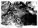 Fig. 02 - Cellulosic and lignocellulosic materials and compositions and composites made therefrom