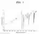 Fig. 02 - π-Conjugated polymer and manufacturing method thereof