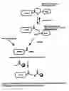 Fig. 06 - Ligation method