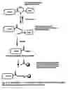 Fig. 07 - Ligation method