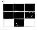 Fig. 04 - Translocation dependent complementation for drug screening