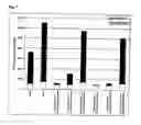 Fig. 08 - Translocation dependent complementation for drug screening