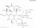 Fig. 09 - Process to obtain 6-O-methylerythromycin a (clarithromycin)_form II