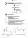 Fig. 02 - RNA interference mediated inhibition of gene expression using chemically modified short interfering nucleic acid (siNA)