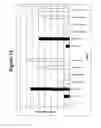 Fig. 13 - RNA interference mediated inhibition of gene expression using chemically modified short interfering nucleic acid (siNA)