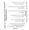 Fig. 41 - RNA interference mediated inhibition of gene expression using chemically modified short interfering nucleic acid (siNA)