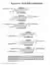Fig. 62 - RNA interference mediated inhibition of gene expression using chemically modified short interfering nucleic acid (siNA)