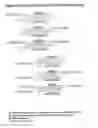 Fig. 66 - RNA interference mediated inhibition of gene expression using chemically modified short interfering nucleic acid (siNA)