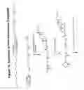 Fig. 74 - RNA interference mediated inhibition of gene expression using chemically modified short interfering nucleic acid (siNA)
