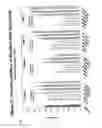 Fig. 80 - RNA interference mediated inhibition of gene expression using chemically modified short interfering nucleic acid (siNA)