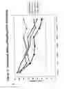 Fig. 82 - RNA interference mediated inhibition of gene expression using chemically modified short interfering nucleic acid (siNA)