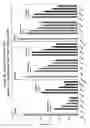 Fig. 30 - RNA interference mediated inhibition of gene expression using chemically modified short interfering nucleic acid (siNA)