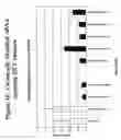 Fig. 37 - RNA interference mediated inhibition of gene expression using chemically modified short interfering nucleic acid (siNA)