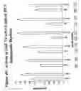 Fig. 41 - RNA interference mediated inhibition of gene expression using chemically modified short interfering nucleic acid (siNA)