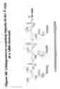 Fig. 49 - RNA interference mediated inhibition of gene expression using chemically modified short interfering nucleic acid (siNA)