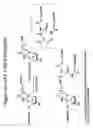 Fig. 56 - RNA interference mediated inhibition of gene expression using chemically modified short interfering nucleic acid (siNA)