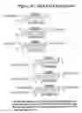 Fig. 62 - RNA interference mediated inhibition of gene expression using chemically modified short interfering nucleic acid (siNA)