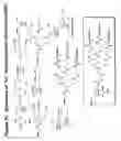 Fig. 71 - RNA interference mediated inhibition of gene expression using chemically modified short interfering nucleic acid (siNA)