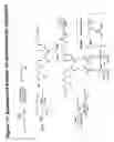 Fig. 72 - RNA interference mediated inhibition of gene expression using chemically modified short interfering nucleic acid (siNA)
