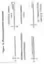 Fig. 75 - RNA interference mediated inhibition of gene expression using chemically modified short interfering nucleic acid (siNA)