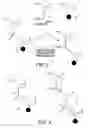 Fig. 03 - Methods and compounds for polynucleotide synthesis