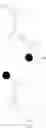 Fig. 05 - Methods and compounds for polynucleotide synthesis