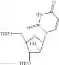 Fig. 33 - Processing for producing 2′-deoxy-2′-fluorouridine
