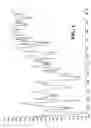 Fig. 02 - Method for obtaining 17sg(a)-acetoxy-11$g(b)-(4-n,n-dimethylaminophenyl)-19-norpregna-4,9-diene-3,20-dione