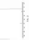 Fig. 03 - Process for producing glycolic acid from formaldehyde and hydrogen cyanide