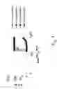 Fig. 02 - Process for removal of oxygenates from a paraffin stream