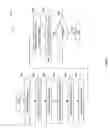 Fig. 09 - Bunched phase encoding (BPE)