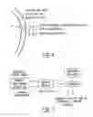 Fig. 06 - Method and apparatus for analyzing amniotic fluid