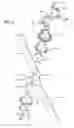 Fig. 06 - Adjustable ergonomic brace