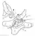 Fig. 01 - Flexible IV site protector