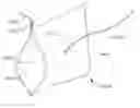 Fig. 01 - Intra-abdominal storage device