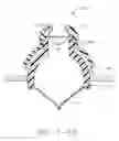 Fig. 08 - Intra-abdominal storage device