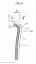 Fig. 09 - ABSORBENT ARTICLE