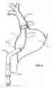 Fig. 07 - Electrical Block Positioning Devices And Methods Of Use therefor