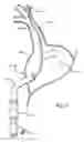 Fig. 08 - Electrical Block Positioning Devices And Methods Of Use therefor